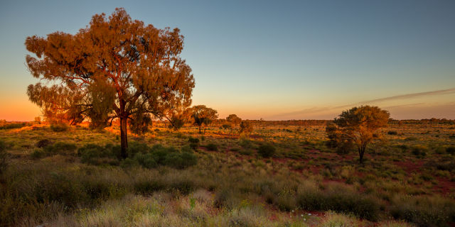 Territory Proud: Operating in Darwin